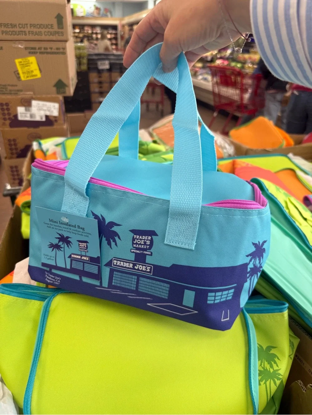 Trader Joe’s. Neon Green and Turquoise Fermat bag Pack set of 2